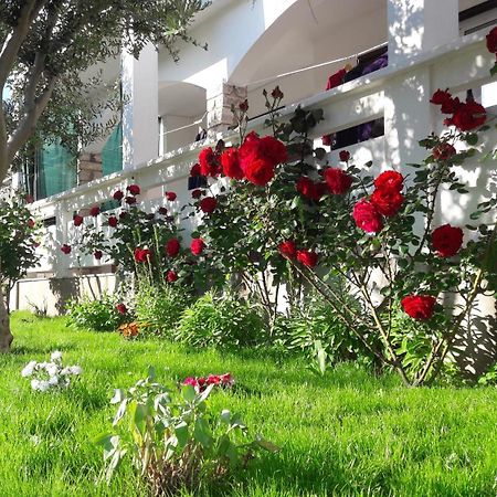 Apartmani Andreja Pag Town Dış mekan fotoğraf