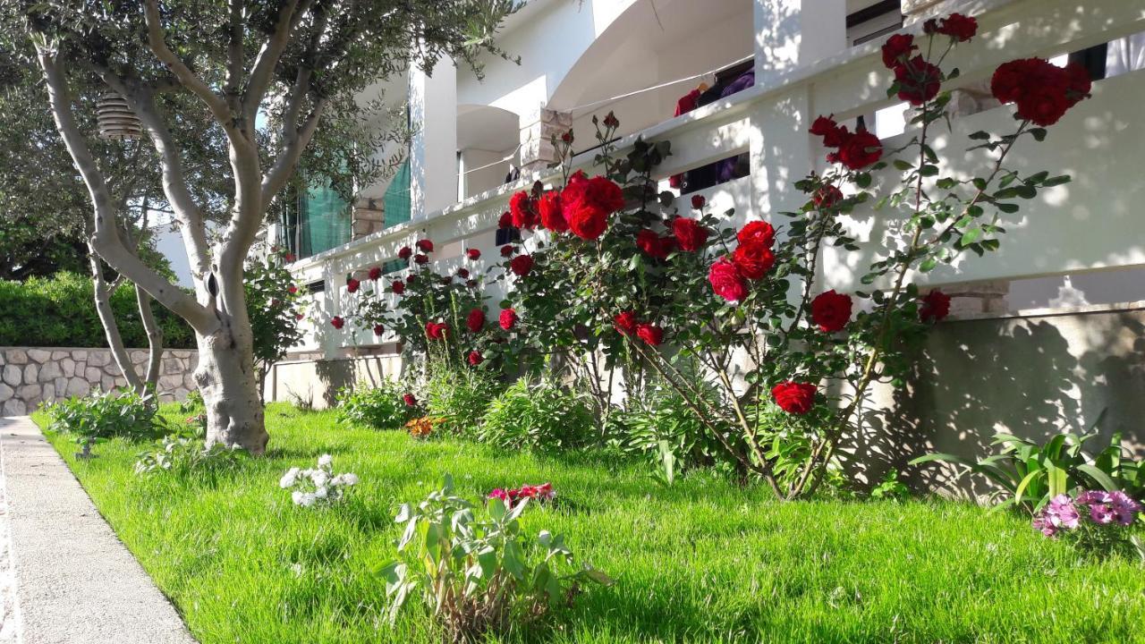 Apartmani Andreja Pag Town Dış mekan fotoğraf